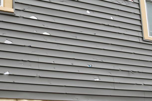 Best Engineered Wood Siding  in Westminster, CA